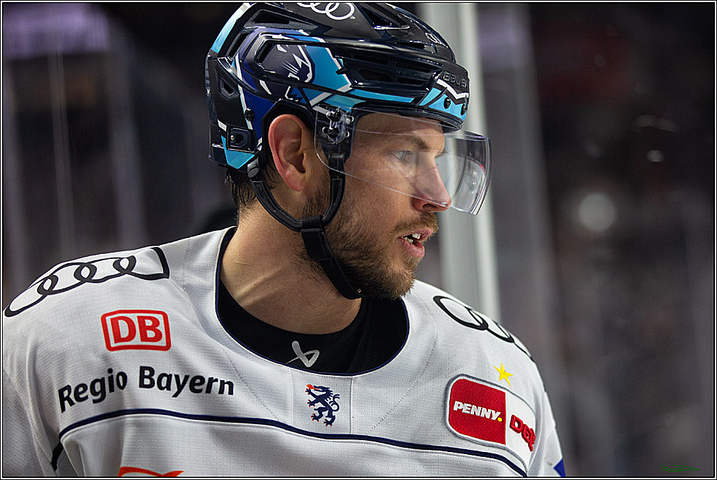 PENNY DEL;  Kölner Haie - ERC Ingolstadt; Köln, 25.11.2022